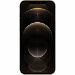 Apple iPhone 12 Pro Max (MGDE3HN/A) with 4 GB RAM, 64GB storage, 4G technology, Nano + eSim, Gold